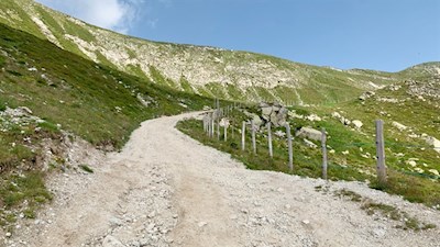 Im steten Anstieg zur Kuhleitenhütte