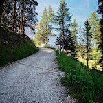 La dolce salita verso la Malga Caserill