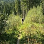 Im Bike-Eldorado ist für jeden etwas dabei - auch gemütliche Touren