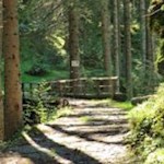 Entlang des Schalderer Baches in Richtung Schrüttenseen