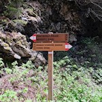 Der Weg zur Prantneralm ist nicht zu verfehlen