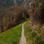 Der erste Teil des Weges führt durch grüne Wiesen