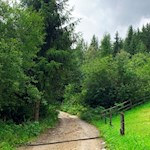 Die Puntleider Seealm kann auch auf breitem Wege aufgesucht werden