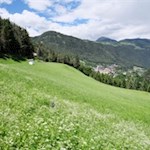 Von Mühlbach folgen wir dem Radweg nach Schabs