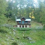 Griesser Alm auf dem Weg zu den Schrüttenseen