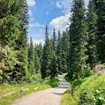 Sentieri pianeggianti portano dal Passo Lavazé alla malga d'Ora