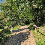 Hinter dem Tiroler Kreuz taucht der Wanderweg in den Wald ein