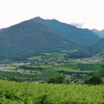 Eingerahmt von blühenden Reben, Obstbäumen, Wiesen und Wäldern: die Gemeinde Vahrn