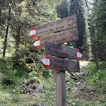 Schließlich zweigt vom Weg Nr. 28 der Waldpfad Nr. 29 ab