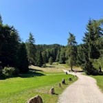 Der Anstieg auf den Roen führt an zahlreichen "Mendelhütten" vorbei