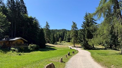 Der Anstieg auf den Roen führt an zahlreichen 