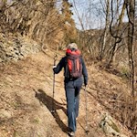 Anstieg zum Braunhof in Schmuders