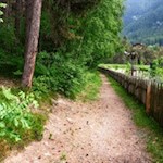 Auf gemütlichen Wegen nach St. Michael