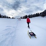 Anstieg von der Glatsch Alm zur nahen Rodelbahn