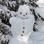 Frostiger Geselle am Wegesrand