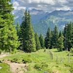 Durch Wald und Wiesen auf den Sattelberg