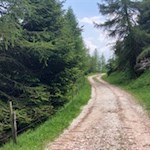 Nahezu eben führt der Weg Nr. 650 zum Ausgangspunkt zurück