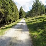 Im sanften Anstieg zur Lercheralm