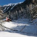 Schneeverhangener Winterwald bei Percha