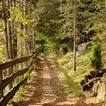 Von Tann führt ein kleiner Waldweg nach Bad Siess
