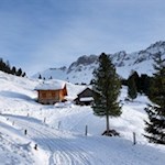 Die-Kaserill-Alm-ist-in-eine-idyllische-Landschaft-gebettet