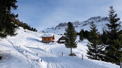 Die-Kaserill-Alm-ist-in-eine-idyllische-Landschaft-gebettet
