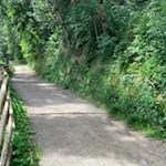 Der Lüsner Panoramaweg folgt auch ebenen Wegen