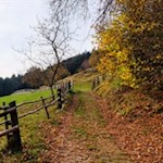 Durch die herbstlich gefärbte Landschaft nach Feldthurns