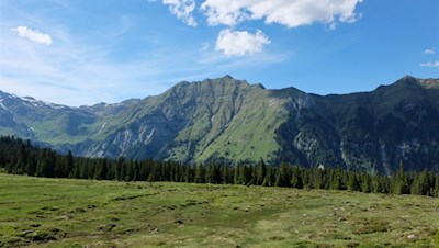 Die Wanderung zu den Wumblsalmen führt durch offene, von hohen Felswänden umrahmte Almlandschaften