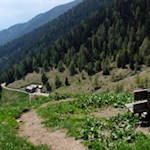 Aussichtsbank auf dem Weg zum Grünbachsee