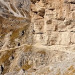 Nahe am Felsen bahnt sich der Pfad Nr. 7 seinen Weg