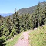 Sui sentieri forestali verso il rifugio delle Odle