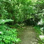 Zunächst folgen wir dem Carl-Toldt-Weg