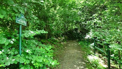 Zunächst folgen wir dem Carl-Toldt-Weg