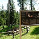 Wo so mancher Wolf in die Falle gegangen sein mag...