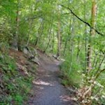 Wo bereits Kaiser Karl I. flanierte: die Karlspromenade in Brixen