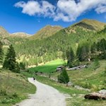 Inmitten bergumrahmter Wiesen präsentiert sich die Astnerbergalm