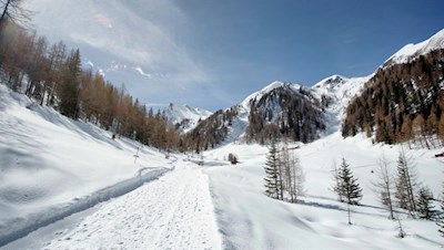Durch die traute Winterlandschaft zur Pircher Alm