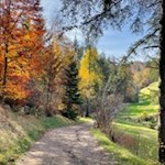 Im Herbst verwandeln sich die Rittner Wälder in ein leuchtendes Farbenmeer