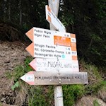 Auf dem Weg Nr. 552 zur Paolina Hütte