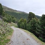 Auf dem Weg Nr. 17C zurück zur Skihütte