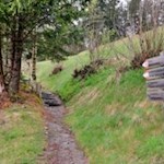 Sanft steigt der Weg zum Pirchner Moos an