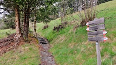 Sanft steigt der Weg zum Pirchner Moos an