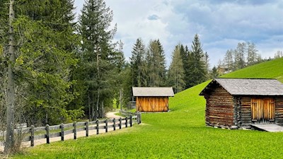 Durch lichte Haine und Wiesen nach Stern