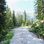 Auf dem breiten Forstweg zur Äußeren Wumblsalm