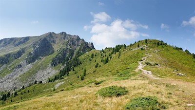 Über einen grasbewachsenen Kamm auf den Rammelstein