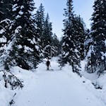 Im leichten Anstieg führt die Rodelbahn Tschantschenon durch den Wald