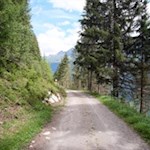 Zuletzt führt ein sanfter Forstweg zur Wollbachalm