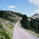 Vor der Kulisse der Kassianspitze präsentiert sich die Getrumalm