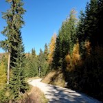 Der erste Teil des Weges führt durch einen schattenspendenden Wald